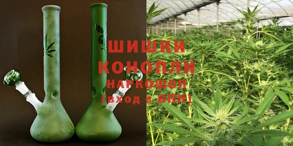 трава Магас