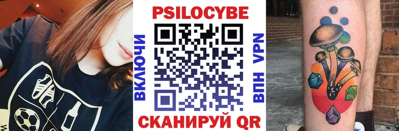 Псилоцибиновые грибы Psilocybine cubensis  Электросталь 